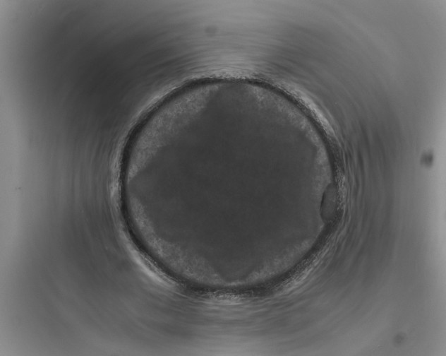 X0000097620677200803211746