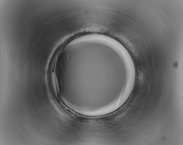 X0000097620678200803211746