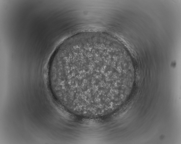 X0000097620679200803211746