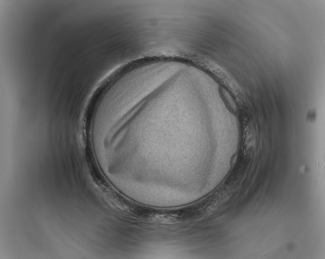 X0000097620680200803211746