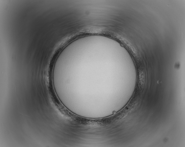 X0000097620682200803211746