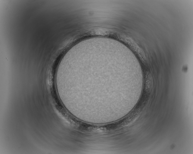 X0000097620683200803211746