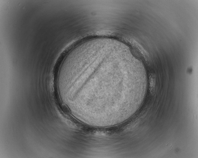 X0000097620684200803211746