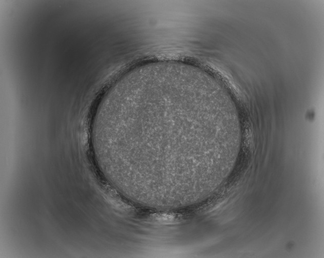 X0000097620687200803211746