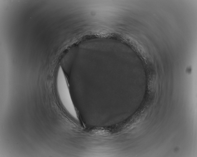 X0000097620689200803211746