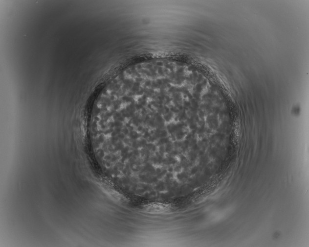 X0000097620691200803211746