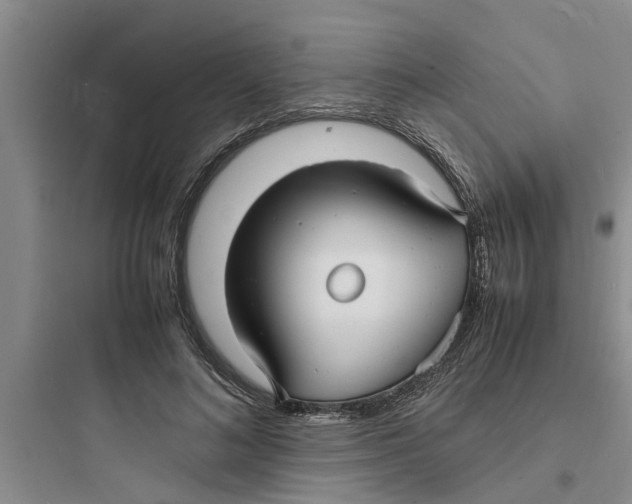 X0000097620692200803211746