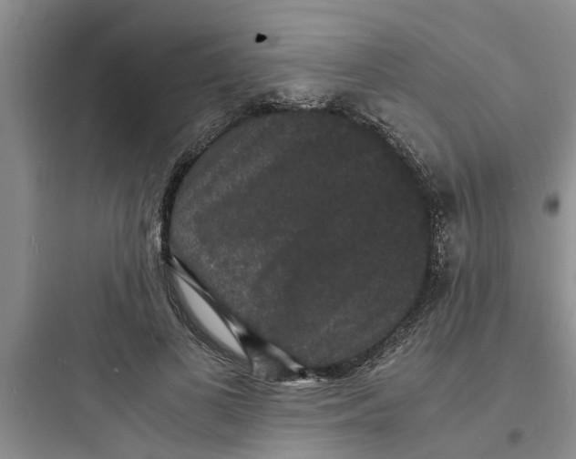 X0000097620693200803211746