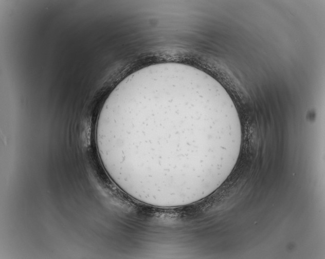 X0000097620694200803211746