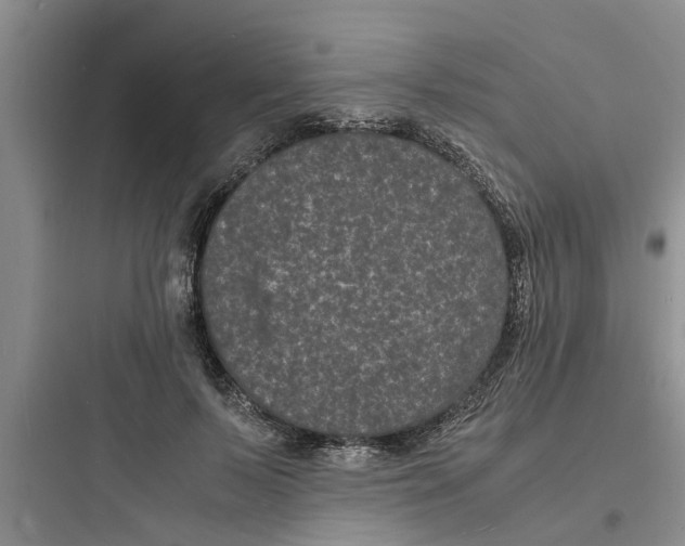 X0000097620695200803211746