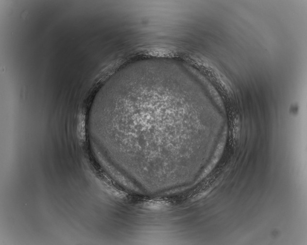 X0000097620696200803211746