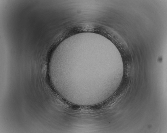 X0000097620697200803211746