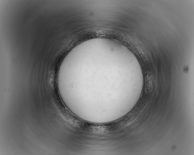 X0000097620698200803211746