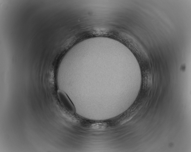 X0000097620700200803211746