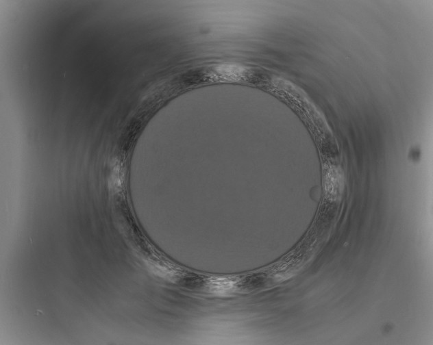 X0000097620701200803211746