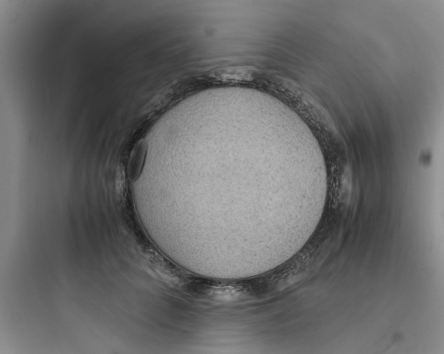 X0000097620704200803211745