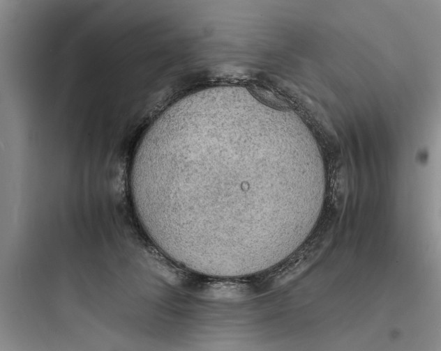 X0000097620708200803211745