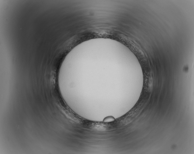 X0000097620710200803211745