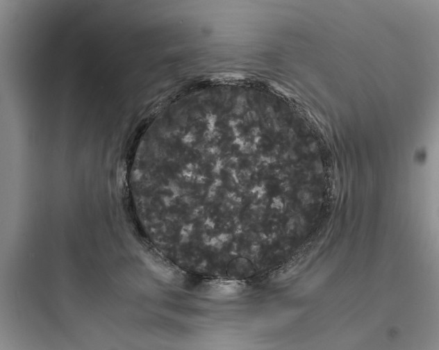 X0000097620711200803211745