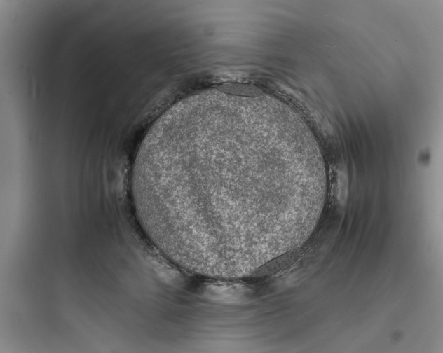 X0000097620712200803211745