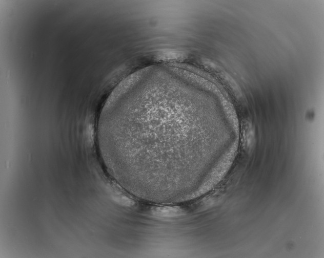 X0000097620716200803211745