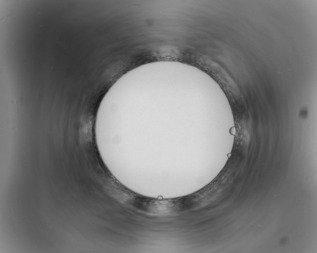 X0000097620717200803211745
