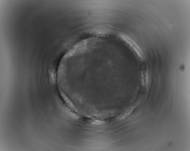 X0000097620718200803211745