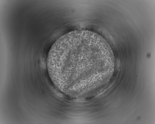 X0000097620719200803211745