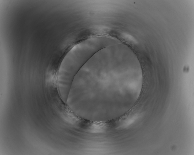 X0000097620720200803211745