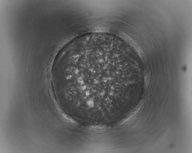 X0000097620721200803211744