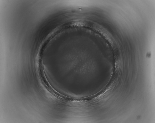 X0000097620722200803211744