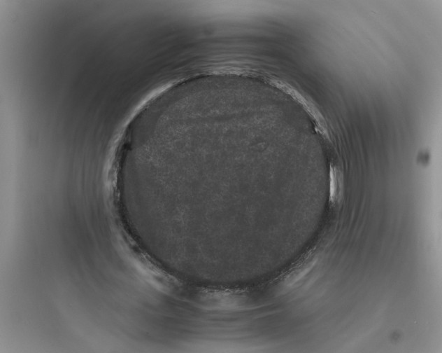 X0000097620723200803211744