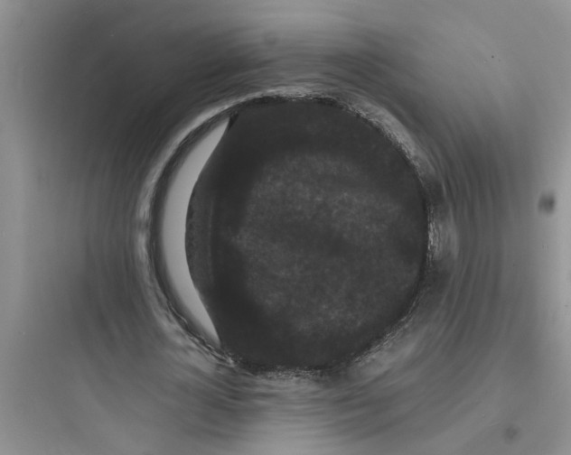 X0000097620724200803211744