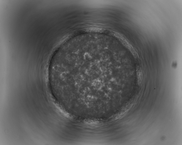 X0000097620729200803211745
