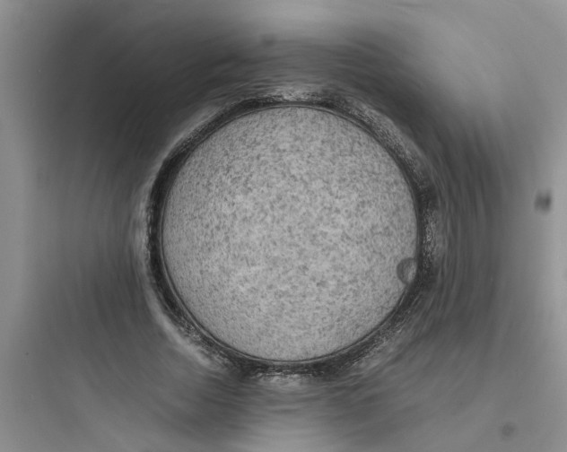 X0000097620730200803211745