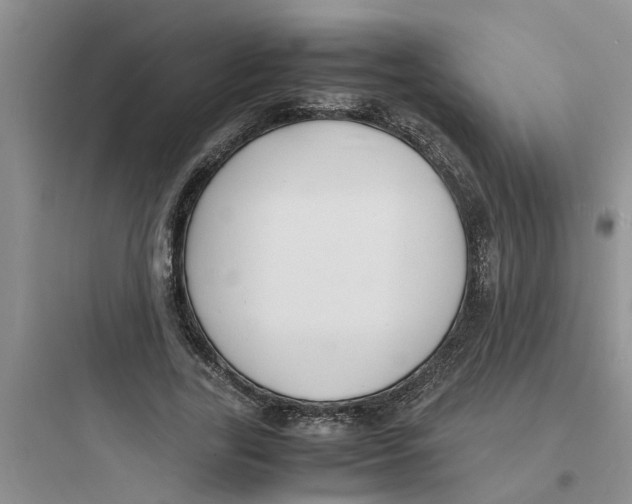 X0000097620731200803211745