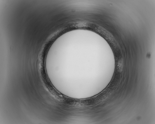 X0000097620732200803211745