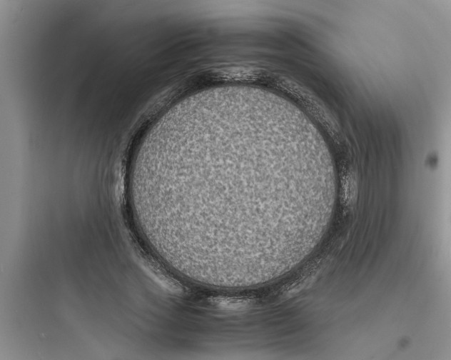 X0000097620733200803211745