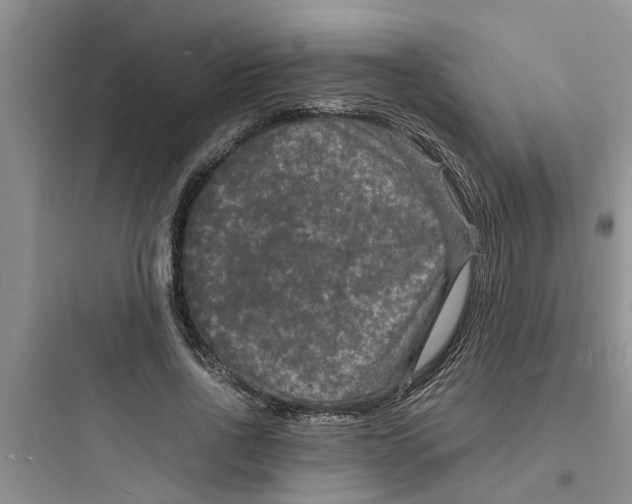 X0000097620734200803211745