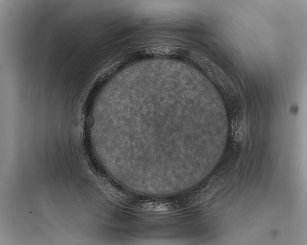 X0000097620735200803211745