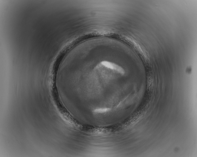 X0000097620736200803211745