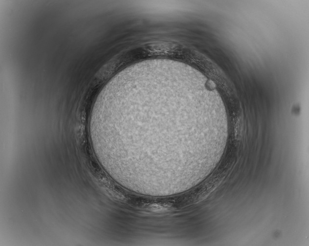 X0000097620737200803211745