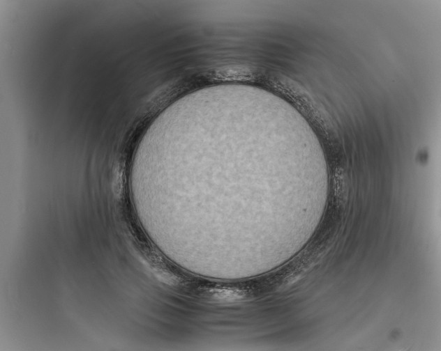 X0000097620741200803211745