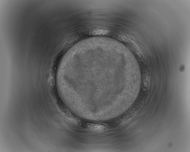 X0000097620743200803211745