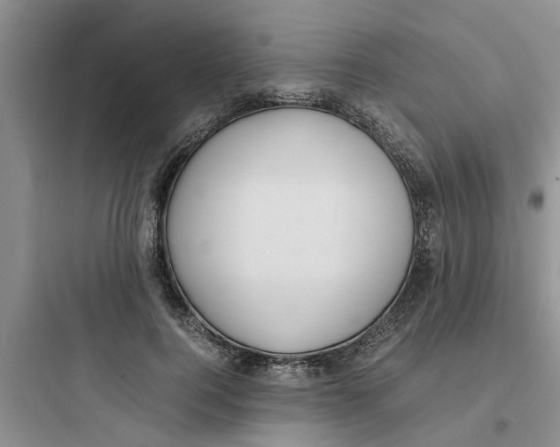 X0000097620744200803211745