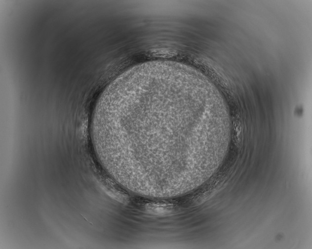 X0000097620745200803211745