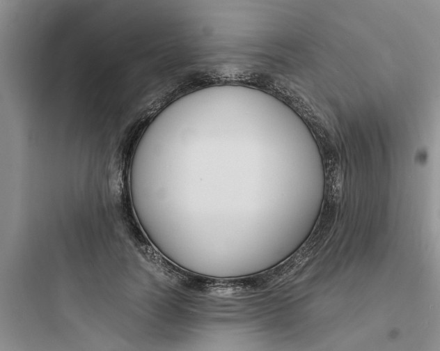 X0000097620746200803211745
