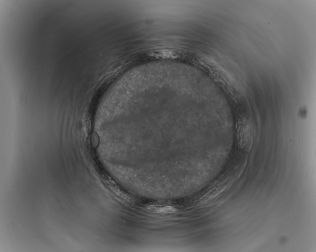 X0000097620747200803211745