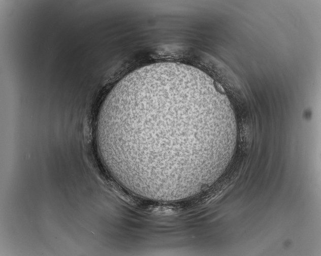 X0000097620751200803211745
