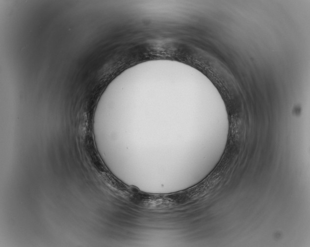 X0000097620752200803211745